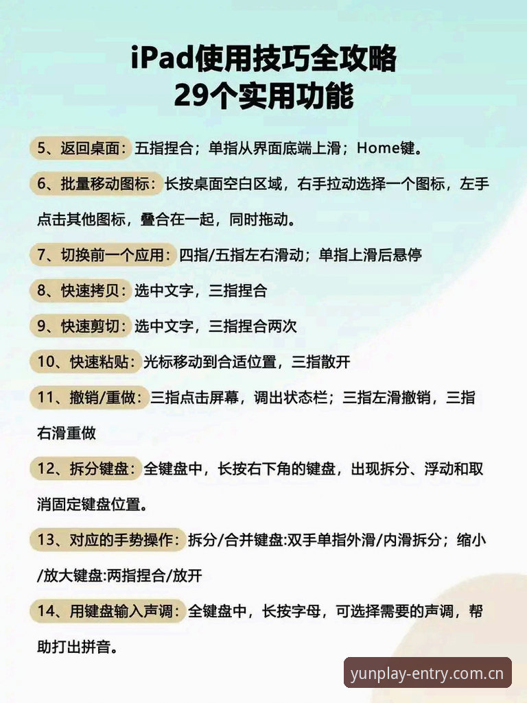 云体育平台使用评测：从下载到观赛，新手体验全流程指南